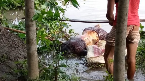 কীর্তনখোলা নদী থেকে অজ্ঞাত ব্যক্তির মরদেহ উদ্ধার