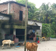 বাকেরগঞ্জে ভূমিদস্যু অলির অন্যের বসতঘরসহ জমি দখলের পাঁয়তারা