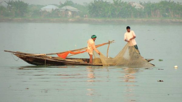 ভোলায় জেলেদের জালে মিলছে না ইলিশ