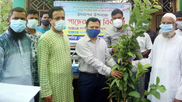 গৌরনদীতে গাছের চারা বিতরণ