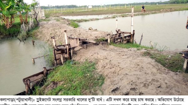 কলাপাড়ায় সরকারি খালে বাঁধ দিয়ে মাছ চাষ