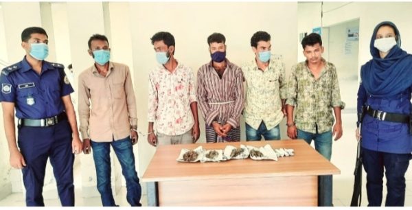 তজুমদ্দিনে গাঁজাসহ আটক-৫