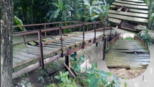 বেতাগীতে এক ইউনিয়নের ৩ টি সেতু নড়বড়ে!