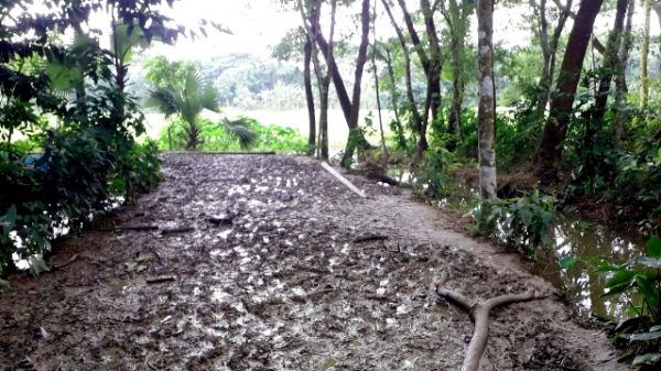 দুমকির কাঁচা রাস্তায় ভোগান্তি চরমে