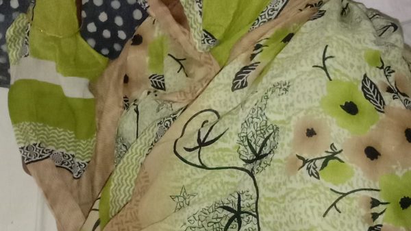 লালমোহনে জমি জবর দখলের চেষ্টা মা'রপিট আহত-২