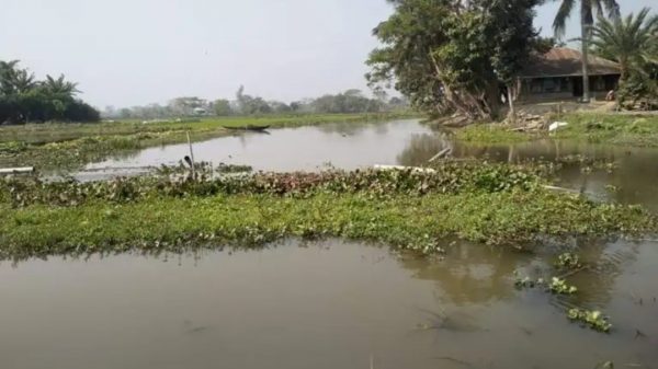 উজিরপুরে সরকারী খালে মাছ চাষ করার অভিযোগ