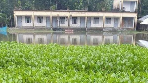 বাউফলে বিদ্যালয়ের মাঠ নয় যেন জলাশয়