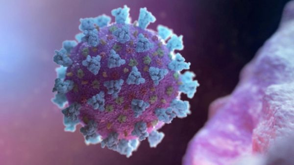 বরিশালে একদিনে ১৪ জনের মৃত্যু, শনাক্ত ৩৭৭