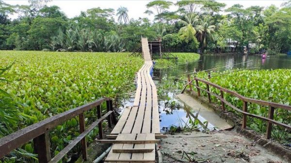 বরগুনায় ভাসমান সেতু