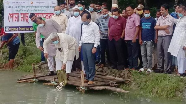 যুব সমাজকে মাছ চাষে এগিয়ে  আসতে হবে...এমপি শাহে আলম