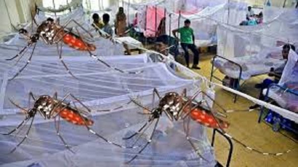 ভয়াবহ হচ্ছে ডেঙ্গু