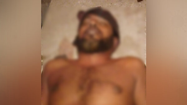 বরগুনায় গাছ থেকে পড়ে ব্যবসায়ীর মৃত্যু