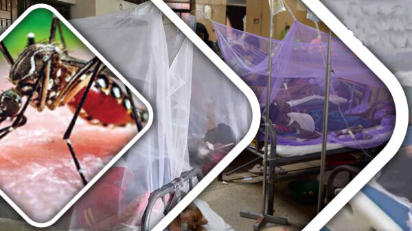 দক্ষিণাঞ্চলে বেড়েছে ডেঙ্গু রোগীর সংখ্যা