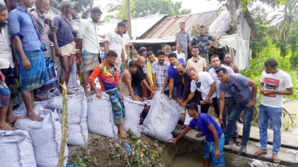 বানারীপাড়ায় নদী ভাঙ্গন রোধে এমপি শাহে আলমের তরিৎ ব্যবস্থা