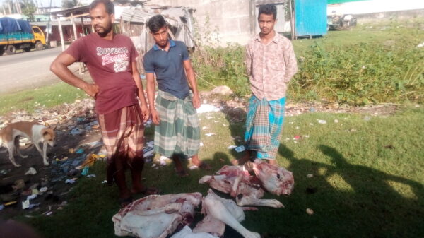 বরিশালে জবাইকৃত নিন্মমানের মহিষের মাংসসহ আটক ৩ 